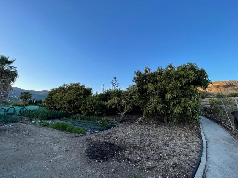 Foto 8aa85b3f-22a7-4771-8f85-d174723f80fe. Masía magnífica casa de campo con piscina ! en Avda Pescia - Ctra de Frigiliana Nerja