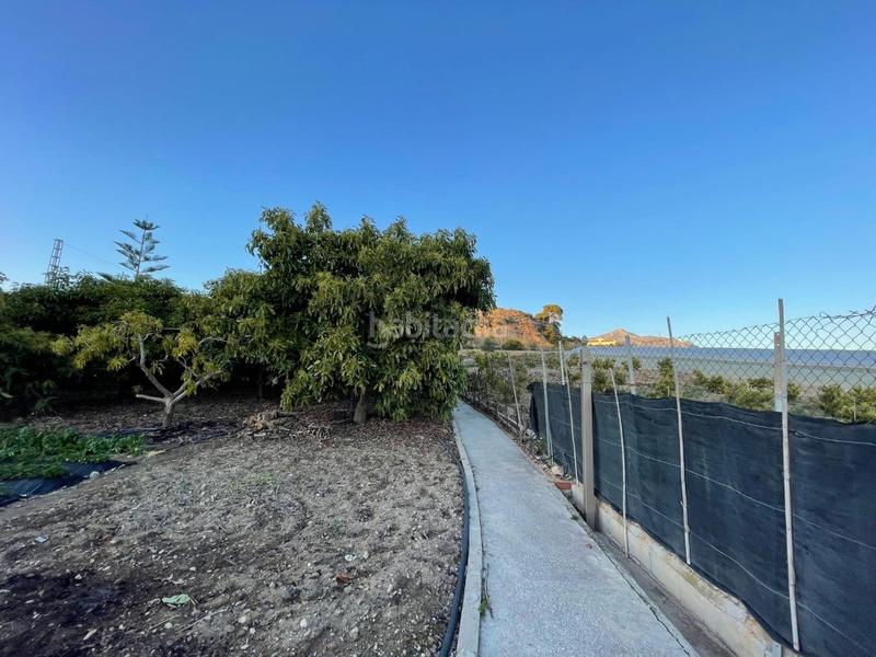 Foto e97c1af9-4620-48e5-a234-58512290fd3b. Masía magnífica casa de campo con piscina ! en Avda Pescia - Ctra de Frigiliana Nerja