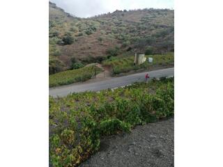 Casa a Viñuela. Gran finca con regadio