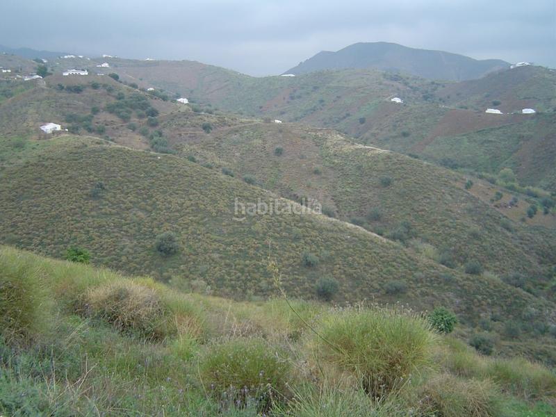 Foto 32dfa290-367a-42ec-9620-3985f00ff5e6. Casa in Canillas de Aceituno