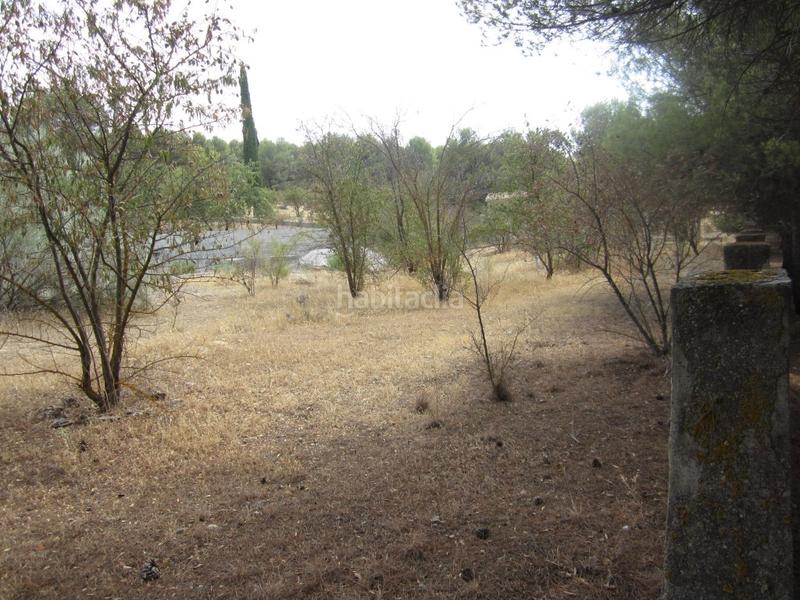 Foto fcc78d80-6e56-41ca-9b0e-614237473837. Terrain résidentiel dans Arenas del Rey