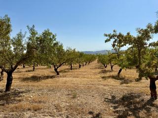 Maison  N/a. Oportunidad única en alhama de granada!