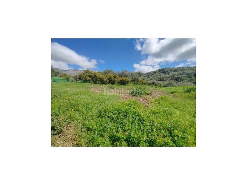 Foto 01e7b547-1842-4599-921e-54c42b71d8ba. Masía gran finca con casa a 5 minutos . en Periana