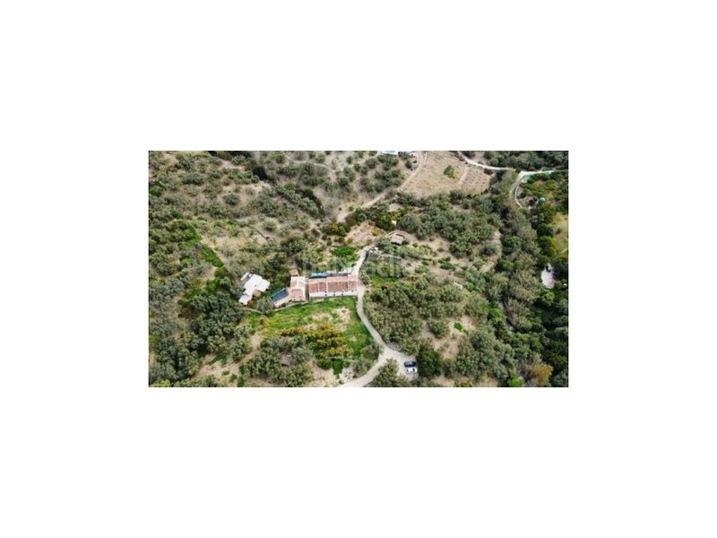 Foto 399c5988-0950-46da-9941-b55430060d7d. Masía gran finca con casa a 5 minutos . en Periana