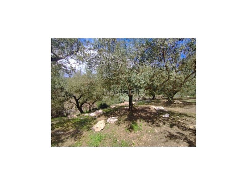 Foto b782106d-e24a-4670-aa42-6c74a116472f. Masía gran finca con casa a 5 minutos . en Periana
