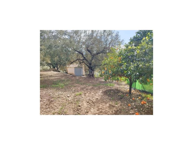 Foto cefea5f7-93ca-4088-bad9-a1e359ae2d95. Masía gran finca con casa a 5 minutos . en Periana