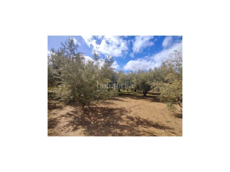 Foto e99eb8c6-cba1-4c61-b0a0-88ca106d0d98. Masía gran finca con casa a 5 minutos . en Periana