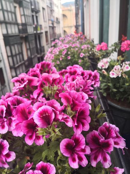 Foto cb8d7da1-d2e2-40ed-914a-65d2a00584d9. Pis amb calefacció a Casco Viejo Bilbao