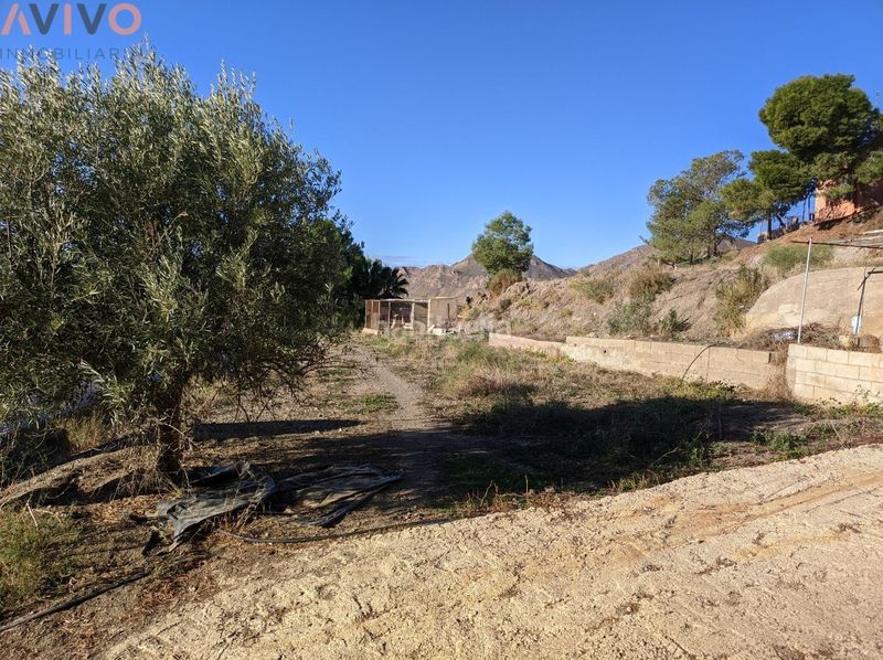 Foto d9810933-dd26-4171-b57f-a99ecaf1b7b5. Masia a Tébar - Los Arejos Águilas