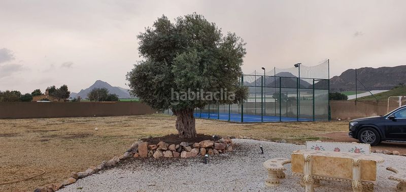 Foto d0623feb-18db-494d-a707-7b7c4cac2a84. Masia amb calefacció piscina a Tébar - Los Arejos Águilas