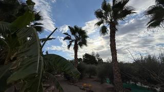Bauernhof in Tébar - Los Arejos. Se vende casa de campo con piscina y 3000 metros de parcela