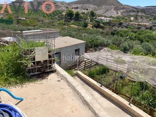 Foto 4303a21e-fe1e-48fc-91a8-58857d6ef512. Masia a Tébar - Los Arejos Águilas
