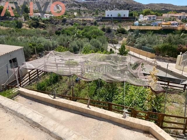 Foto 7ca18bed-2dab-4588-a276-d9acd3799d2b. Masia a Tébar - Los Arejos Águilas