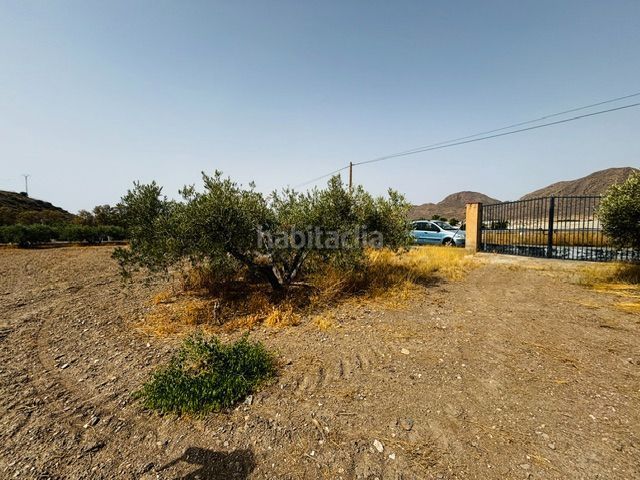 Foto a0cc2cd9-bcba-4b52-bfe2-e6d2ea939ae3. Finca rústica a Tébar - Los Arejos Águilas