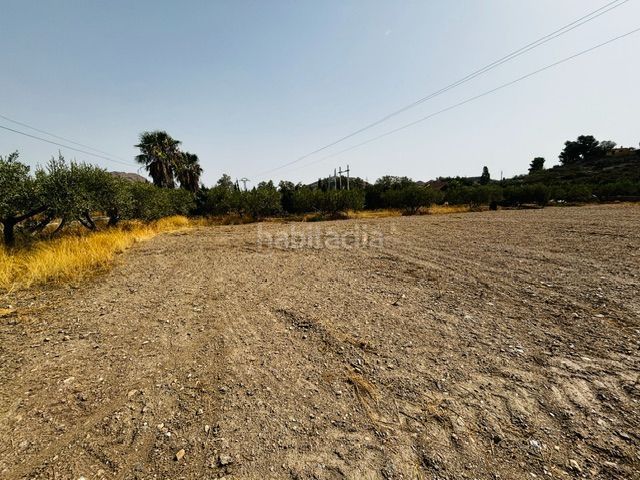 Foto c941b5a7-21e3-4609-bd62-690d30afbbc0. Finca rústica a Tébar - Los Arejos Águilas