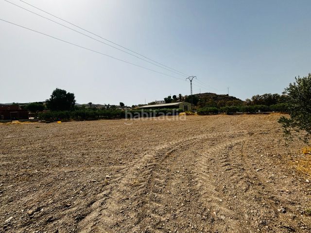 Foto f496e420-314c-4576-a3d8-72a392bdc1f9. Finca rústica a Tébar - Los Arejos Águilas