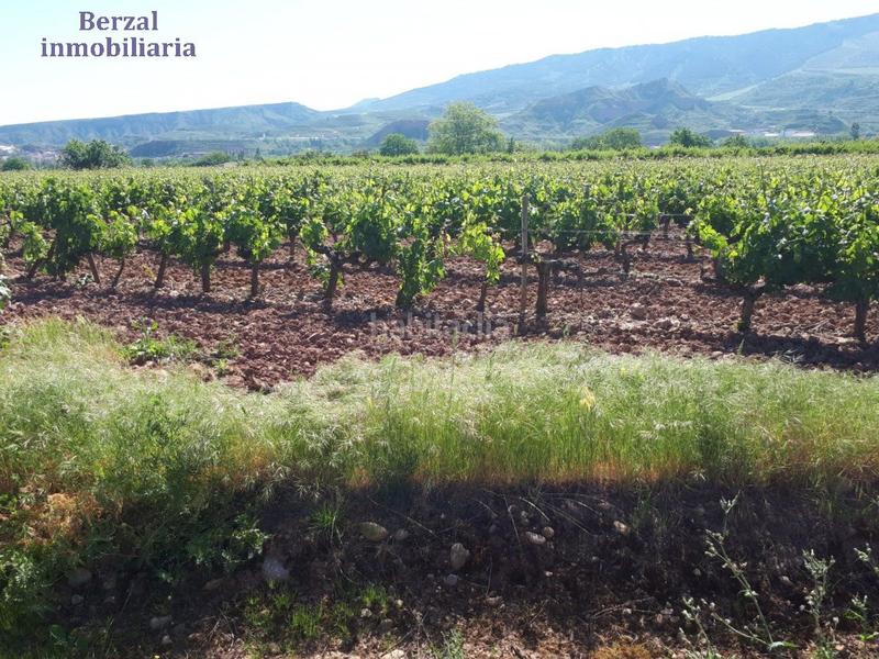 Foto 6f63fec6-b336-41fc-bff7-88dfdd4a6ba4. Finca rústica a Nalda