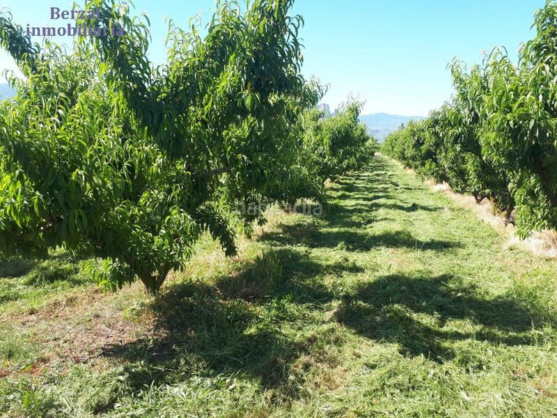 Foto b1f559f9-a933-4464-a10d-2de4e0ceb5a1. Finca rústica a Nalda