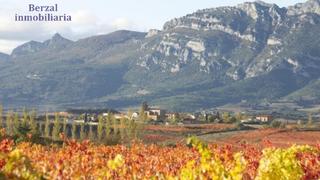 Finca rústica  Carretera carretera de logroño. Viñas.2,3 hectáreas de viñedos en laguardia, álava