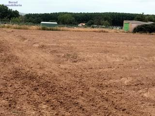Finca rústica  Calle recajo ( viana). Finca de regadi, agua gratuita en recajo , termino viana  navarr
