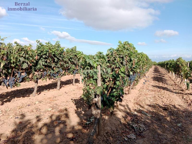 Foto 1d8725ca-4452-459b-a745-c8fd92326be2. Landgut in Entrena