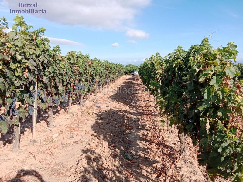 Foto 38bf4984-d5b1-4435-891f-5d0e0ae3f387. Landgut in Entrena