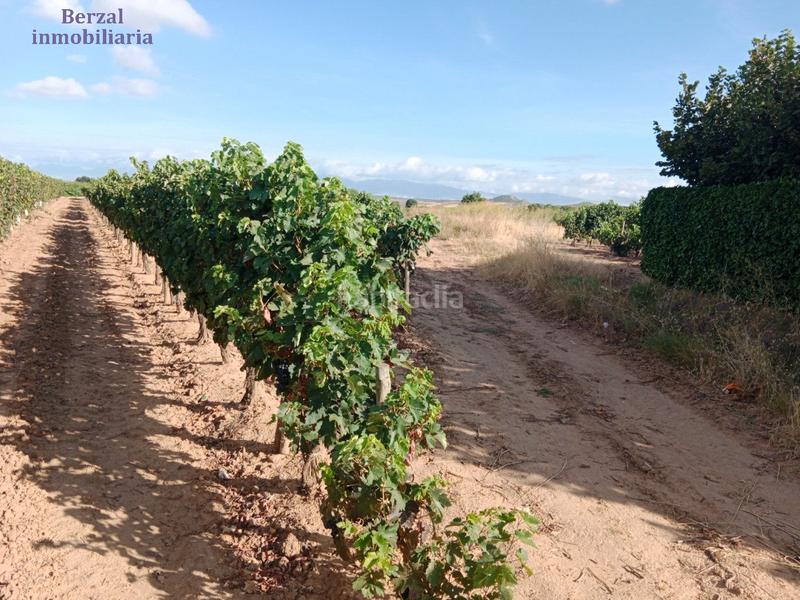 Foto 560b8a44-18fd-40b5-b602-999ca16faa69. Landgut in Entrena