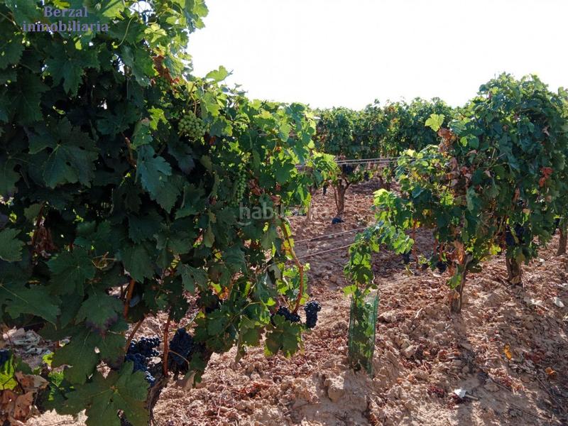 Foto 6da12a45-3a68-4c88-91a8-2ecc272662f1. Landgut in Entrena