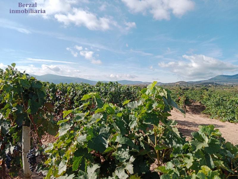 Foto 949ae87e-f373-41b9-a944-02e9e299bd92. Landgut in Entrena