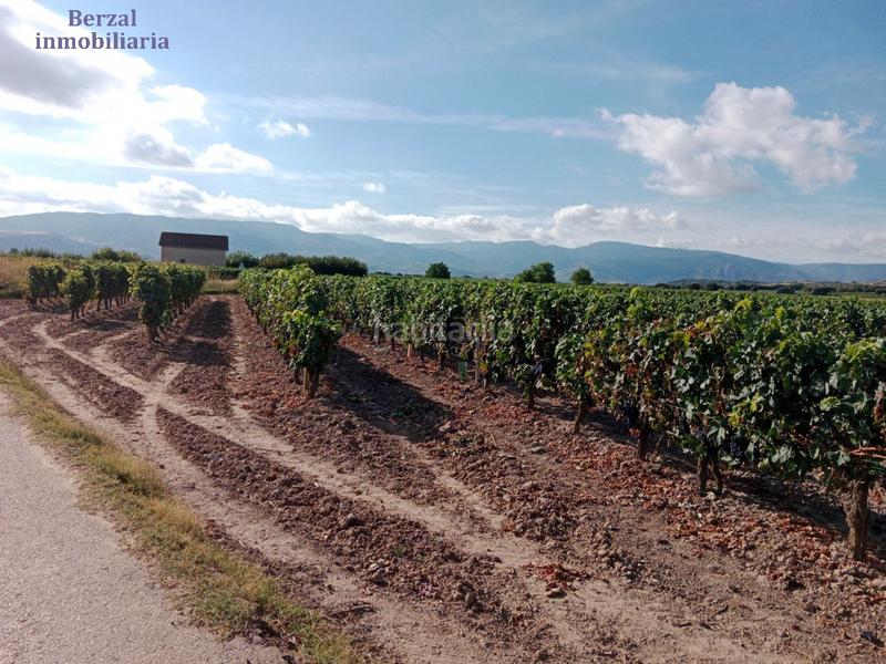 Foto 9b4759d5-0798-4165-978f-377f39bbbbdc. Landgut in Entrena