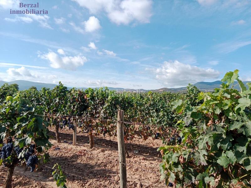 Foto c6eec07e-69dd-4af4-b963-56546c9ae69b. Landgut in Entrena