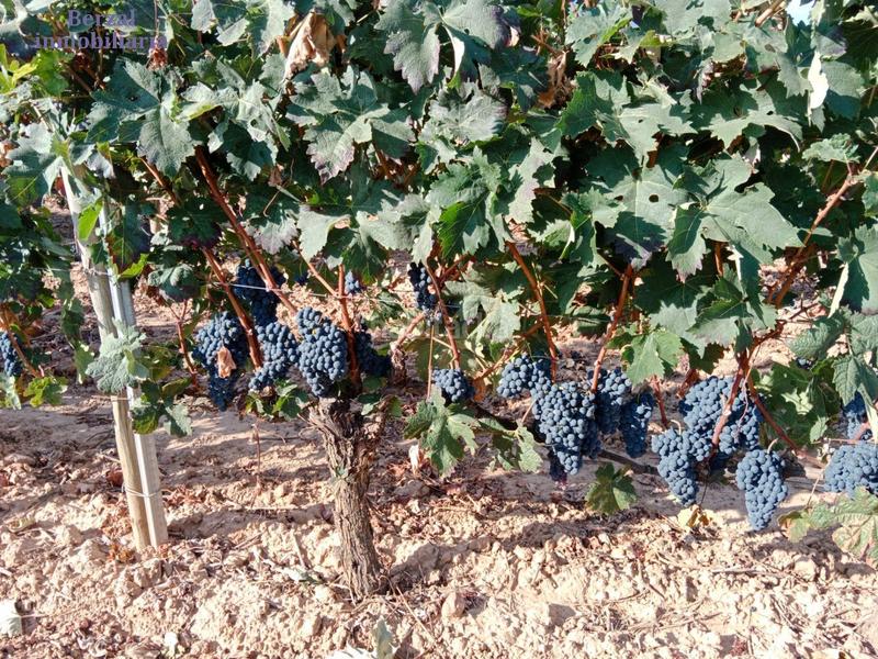 Foto d28f1938-265d-403a-8e96-bd4510f79109. Landgut in Entrena