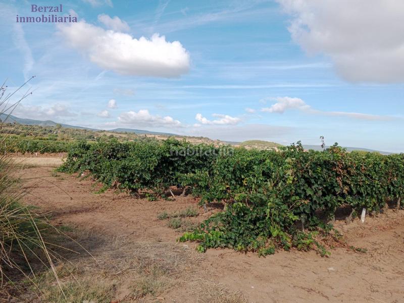 Foto d4bd9781-9526-4f66-8e7d-424eaf5d141c. Landgut in Entrena