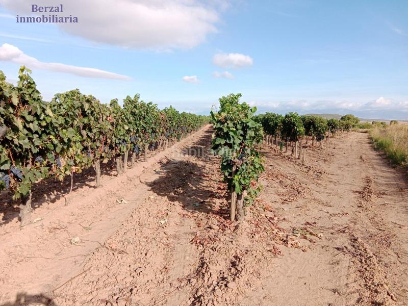 Foto decebacb-87c2-4681-a85f-01539647660e. Landgut in Entrena