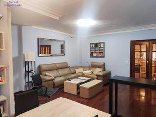 Appartement  Calle del presidente leopoldo calvo sotelo. Apartamento de dos habitaciones en el centro