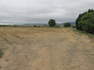 Finca rústica  Camino polígono 7. Parcela rústica en villamediana de iregua, la rioja.