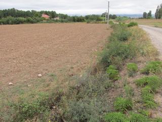 Finca rústica  Camino polígono 12. Parcela rústica en villamediana de iregua, la rioja.