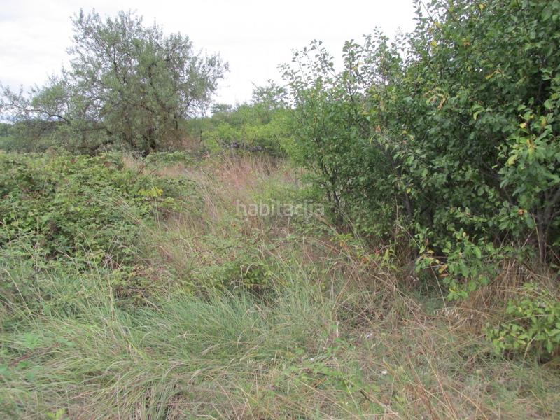 Foto acb8dbb5-63f3-47ef-a082-7e9e18a6aff0. Propriété dans Albelda de Iregua