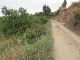 Finca rústica  Carretera polígonp 3. Preciosa parcela en albelda de iregua, la rioja