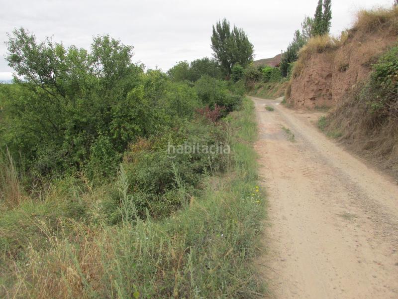 Foto ada16e74-4225-444a-918d-31fd79955663. Propriété dans Albelda de Iregua