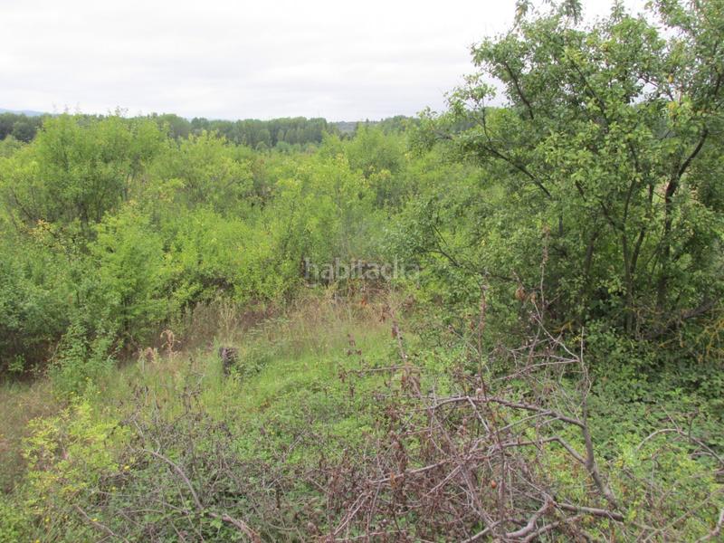 Foto ae8fcfd2-7529-44d3-80a5-132c3a9f4087. Propriété dans Albelda de Iregua