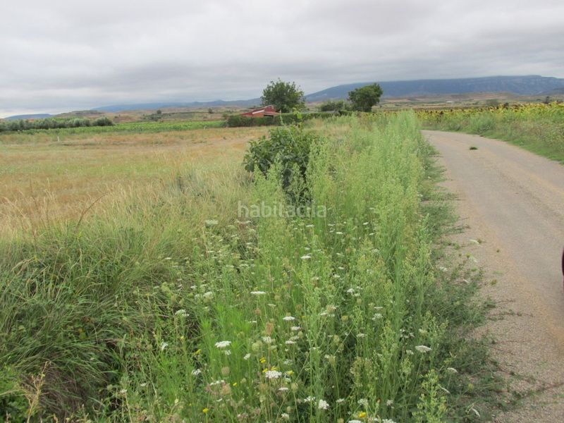 Foto a96cc2a7-c847-4a46-97f9-e18a92fac598. Finca rústica a Villamediana de Iregua