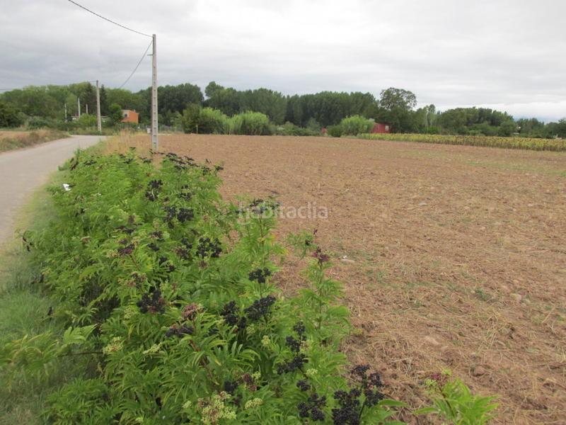 Foto d0c5c07f-f723-4146-ac7c-666993ec5cf2. Finca rústica parcela rústica , la rioja en Villamediana de Iregua