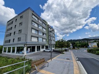 Business premise in Mungia