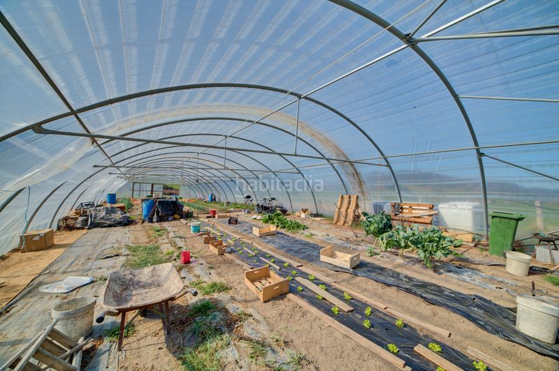 Foto d75226c4-c5a2-49a1-9b5a-77ff9ee4d166. Finca rústica a paraje zabaldika s/n a Esteribar
