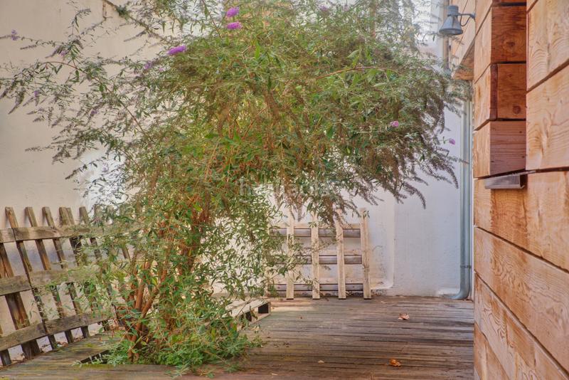 Foto 77ad8919-4c34-4e84-b44a-887c3b462ecc. House in larreberri 16-a 16-a in Olza