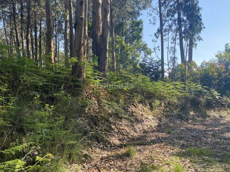Foto b10e3d3d-4fba-4917-9870-55de2e0383ad. Finca rústica a Gorliz