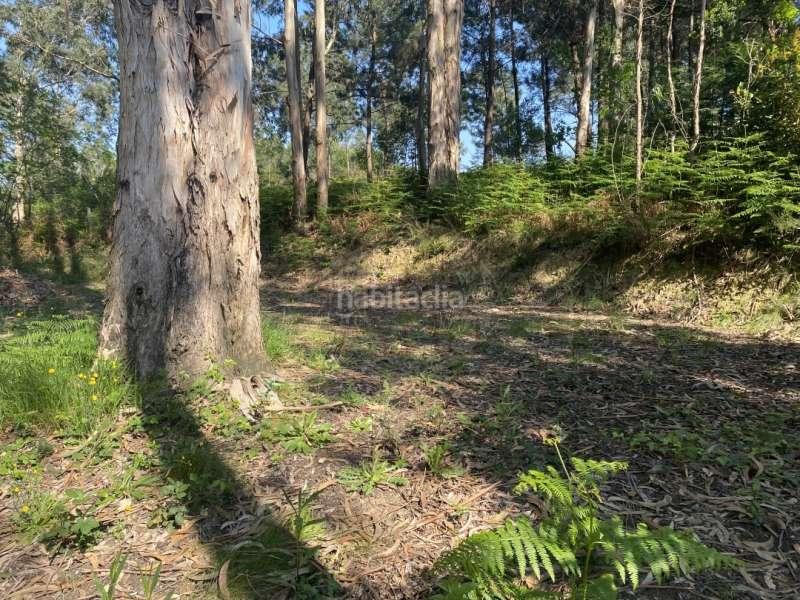 Foto feda35ad-5035-4172-b826-ed5e7764dea1. Finca rústica a Gorliz