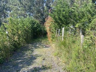 Finca rústica  Junkera bidea. Finca rústica a 1 paso del metro de plentzia en venta o alquiler