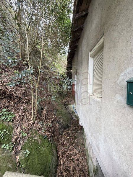 Foto f45375fd-bde0-49b5-ad04-dc473936df68. Pis a Güeñes